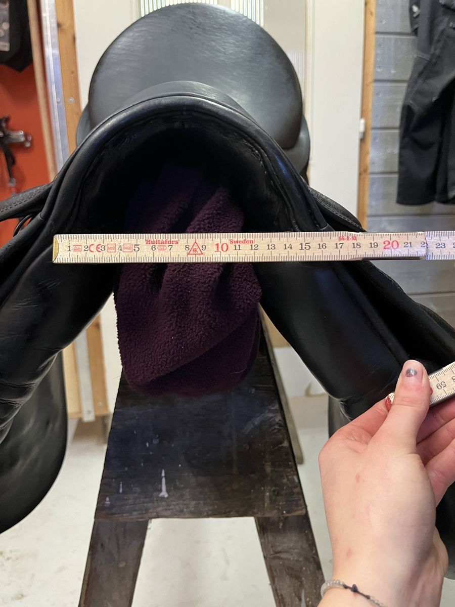 Selle & Accessori: Stübben Sattel Scandica 31 – Usato da Lauperswil venduto da alila04 2