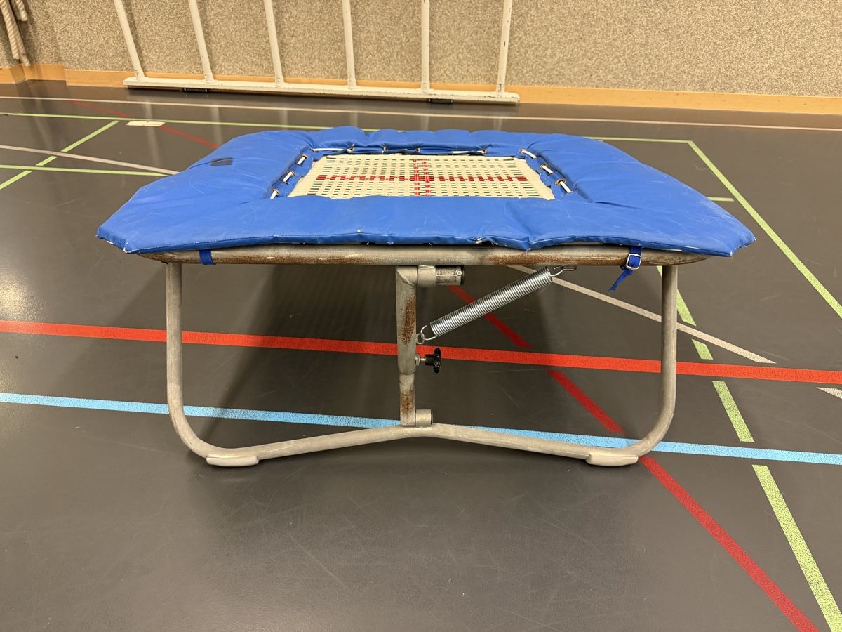 Trampoline: Mini Trampolin blau mit Federn gebraucht – Gebraucht aus Zürich von Frodokauft 1