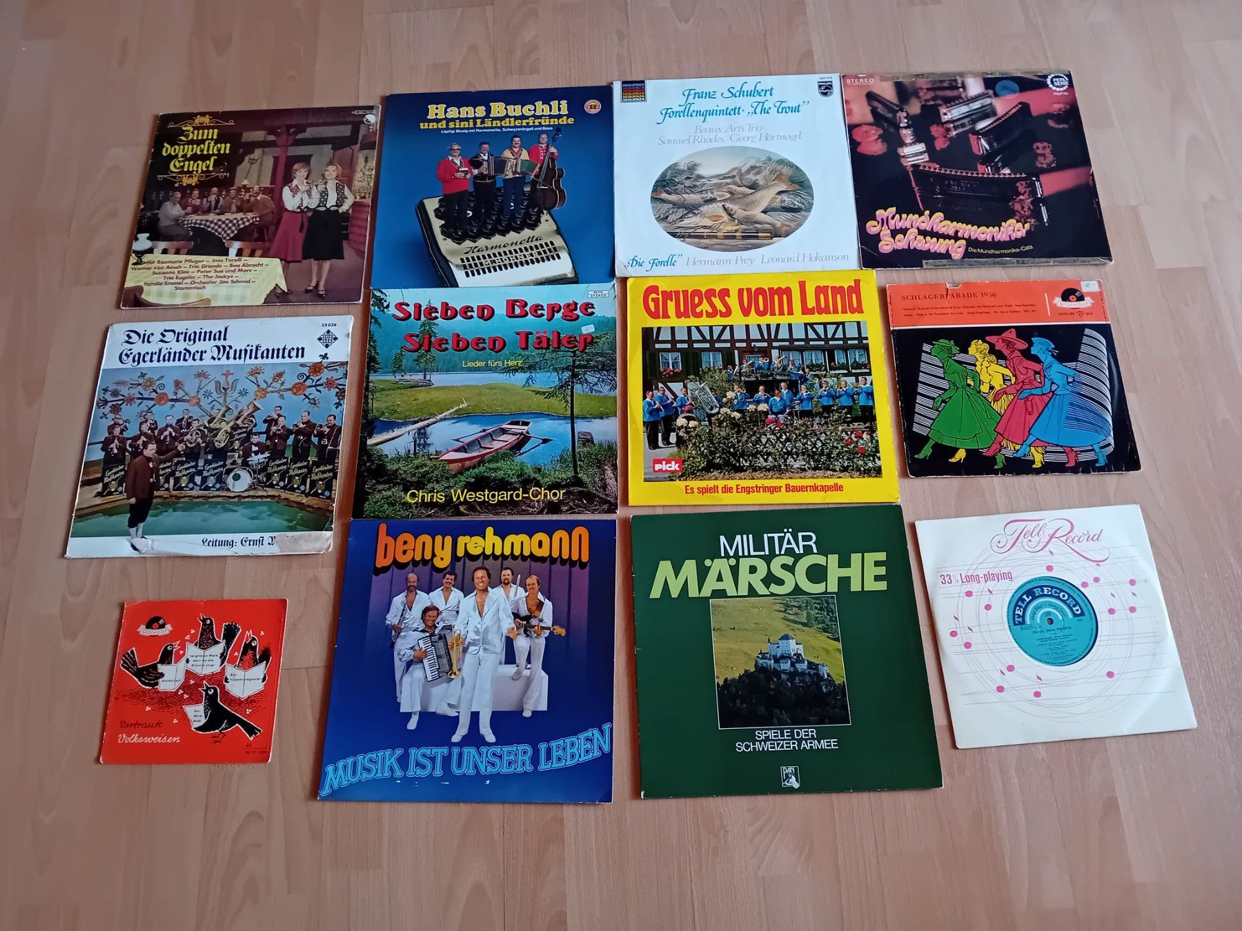 Schallplatten: 28 Schallplatten Schweizer Musik und Schallplatten – Gebraucht aus Wohlen AG von schimmelreiter1234 1