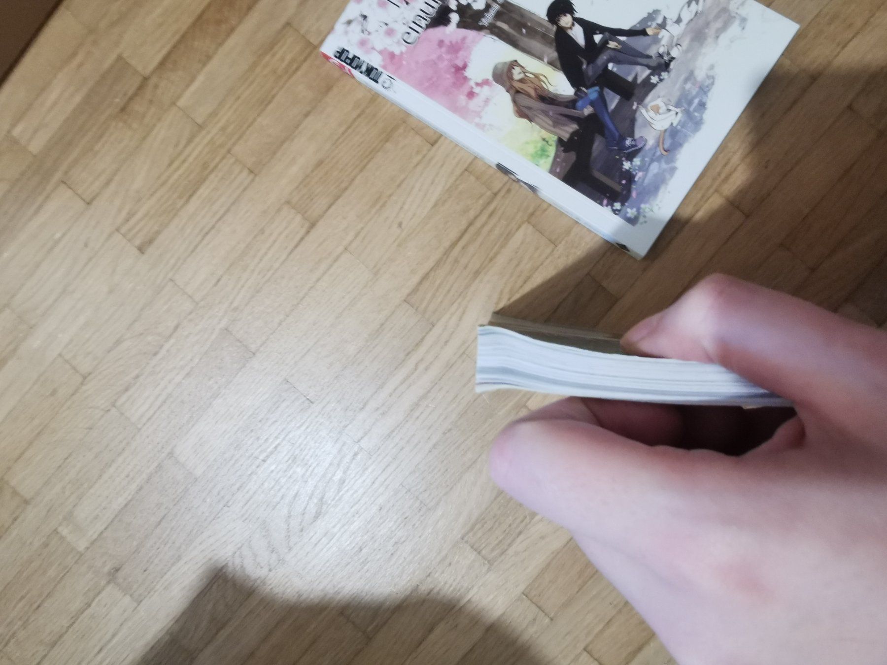 Fumetti: 19/21 komplett – Usato da Binz venduto da Shizuka01 2