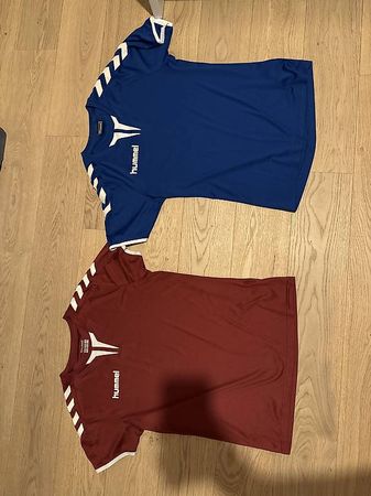 Hummel Sportshirt/Trainingsshirt, Blau & Bordeaux (S)