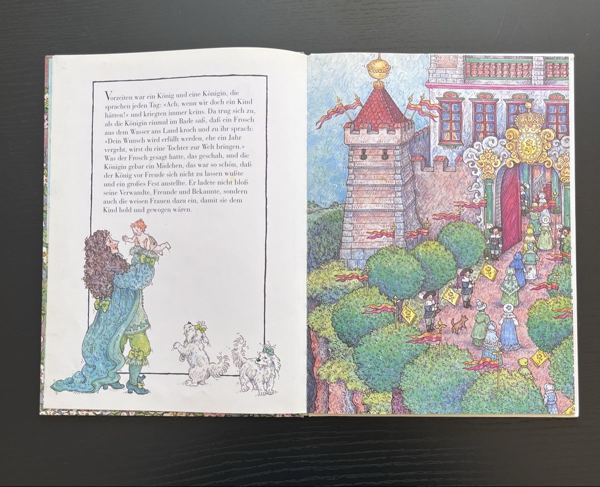 Libri: Dornröschen Bilderbuch, Märchen, 1995 – Usato da Basel venduto da Nath- 6