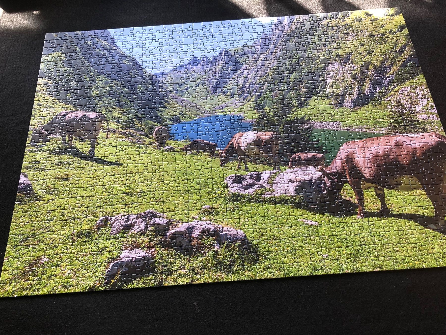 Ravensburger Puzzle: Puzzle (1000) Fählensee – Nuovo (secondo la descrizione) da Gonten venduto da Garn-Liesel 2