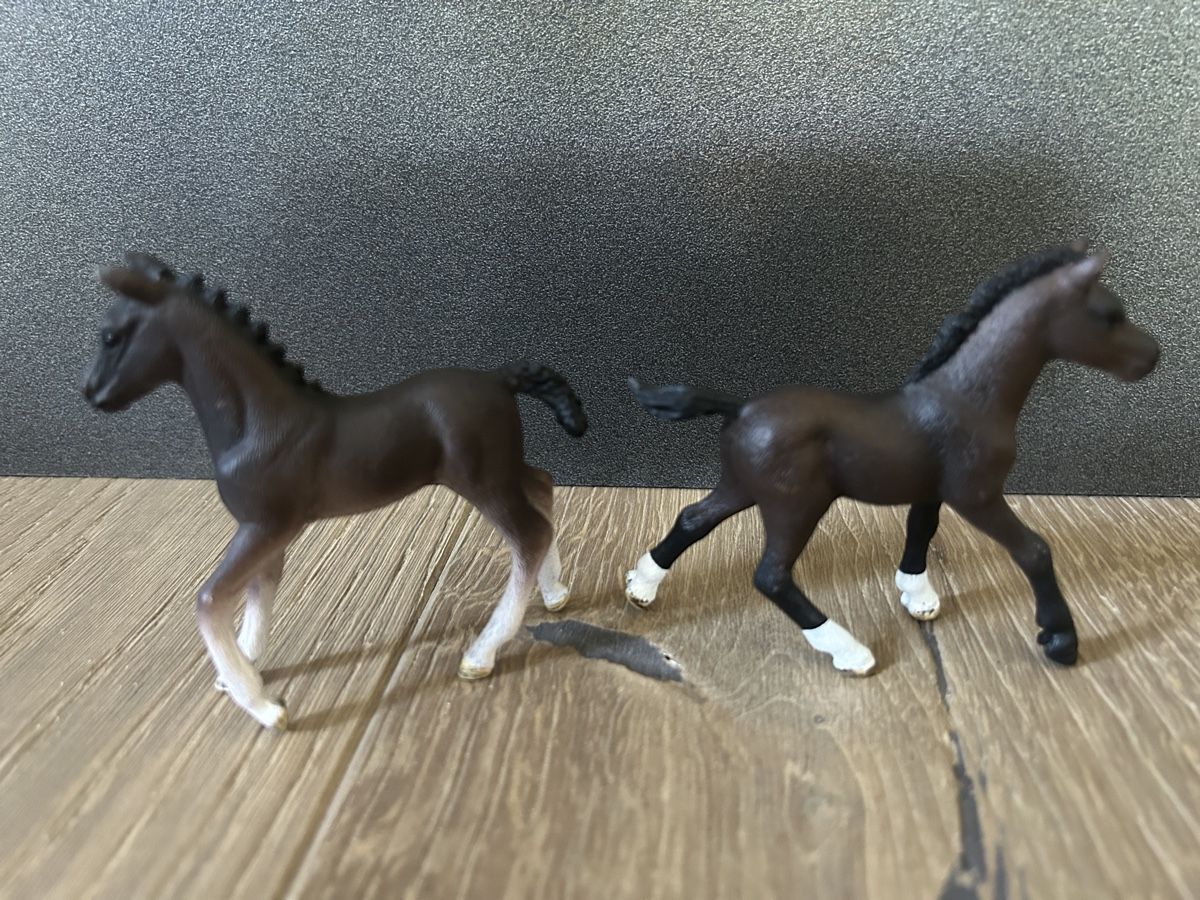 Schleich Giocattoli: Schleich Fohlen – Usato da Winterberg ZH venduto da Amina023 1
