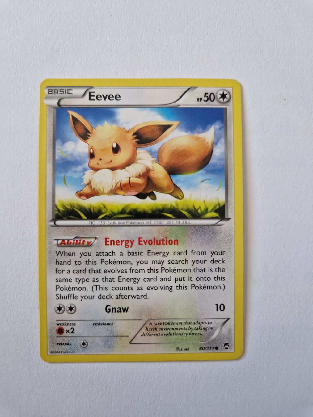 Pokémon Cartes à collectionner: Eevee - Furious Fists - EN  – Neuf (Voir description) à Romont FR par raj_sjv9