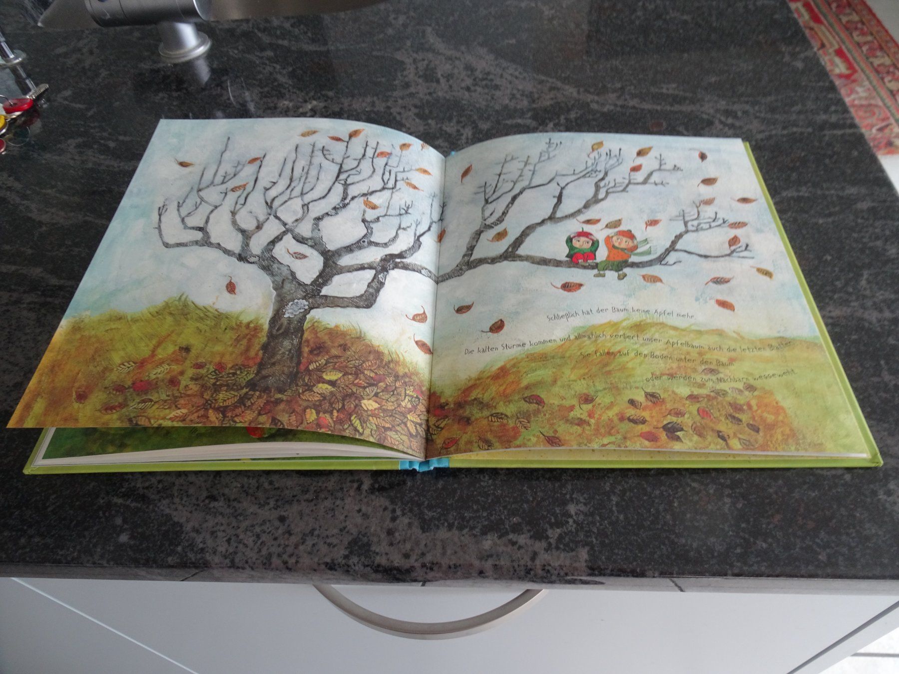 Libri: Bilderbuch Unser Apfelbaum - Neuwertig wunderschöne Bilder – Usato da Zürich venduto da Roulet 8