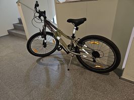 Kinder Velo Fahrrad California Gravity 20 Zoll