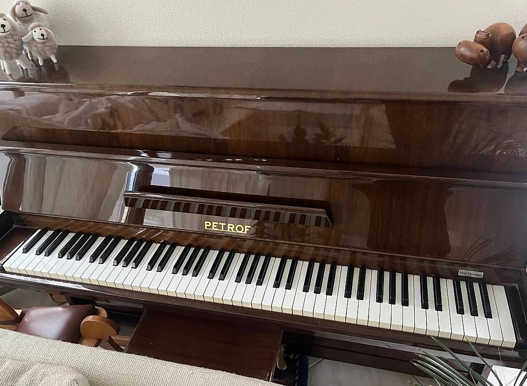 Strumenti musicali: Piano droit Petrof 106 – Usato da Sion venduto da Nayah2