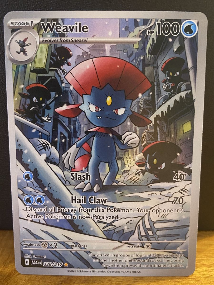 Pokémon Carte collezionabili: Weavile (ASC 228) NM – Nuovo (secondo la descrizione) da Dallenwil venduto da Kartengrund