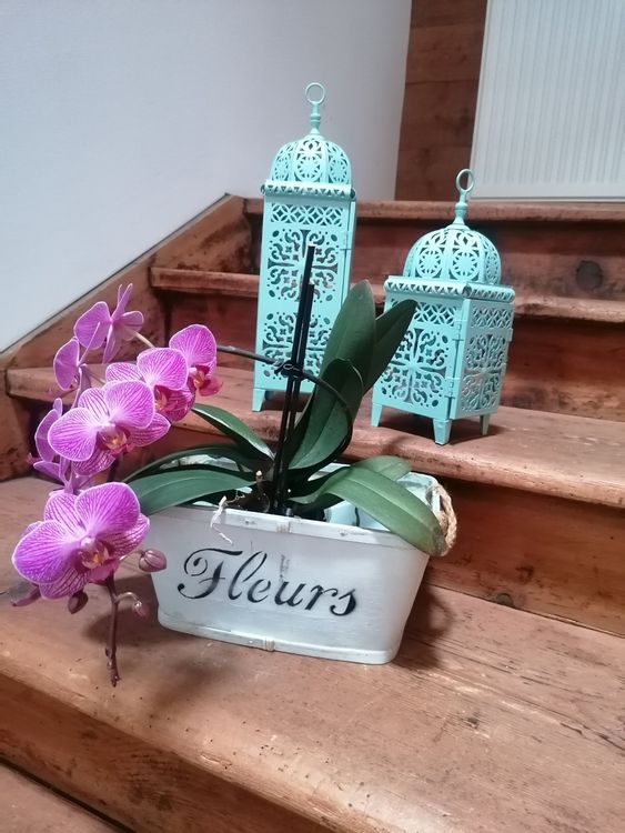 Gartenflagge Biene & Lavendel - Doppelseitige Jute-Flagge 30,5x45,7cm