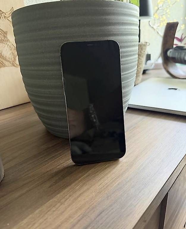 Telefoni cellulari / Smartphones: iPhone 12 Pro Max 256 GB – Usato da Hilterfingen venduto da Thomasnr1 1