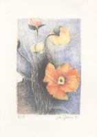 Glauser Lotti 1953 - Mohnblumen - Steindruck