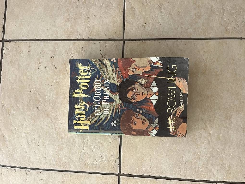 Libri: 4 Tome Harry Potter – Usato da Chavannes-Renens venduto da luc_52p8 2