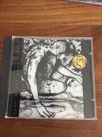 CD Fish Songs From The Mirror guter Zustand
