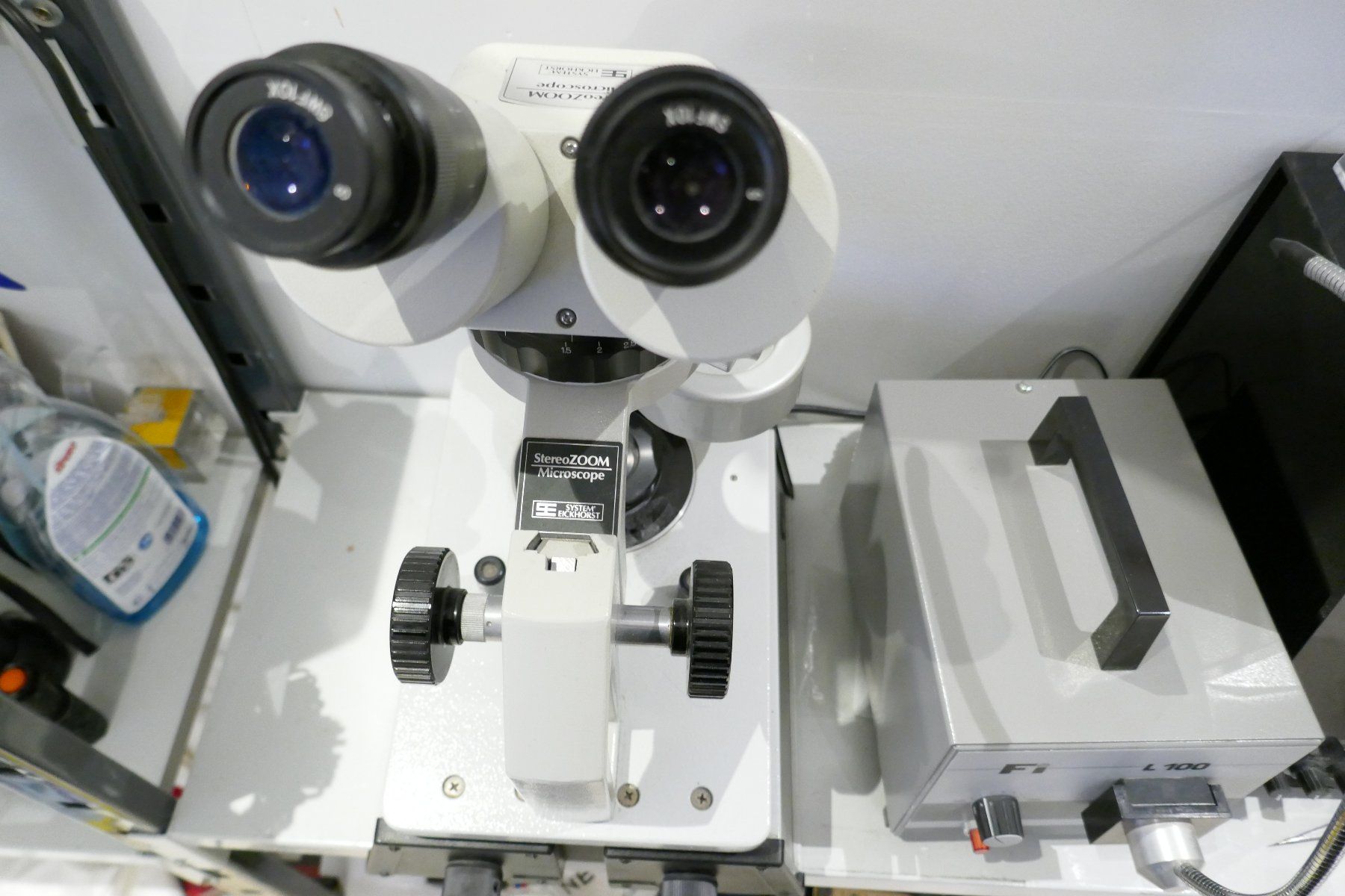 Microscopi: MIKROSKOP System Eickhorst mit seperat Licht – Usato da Schaffhausen venduto da swisswatches-andmore