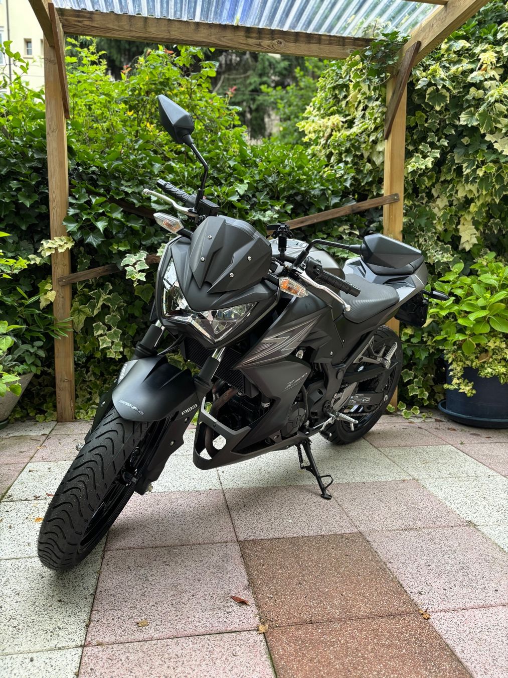 Kawasaki Strasse: Kawasaki Z300 – Gebraucht aus Basel von Alisa_77 2