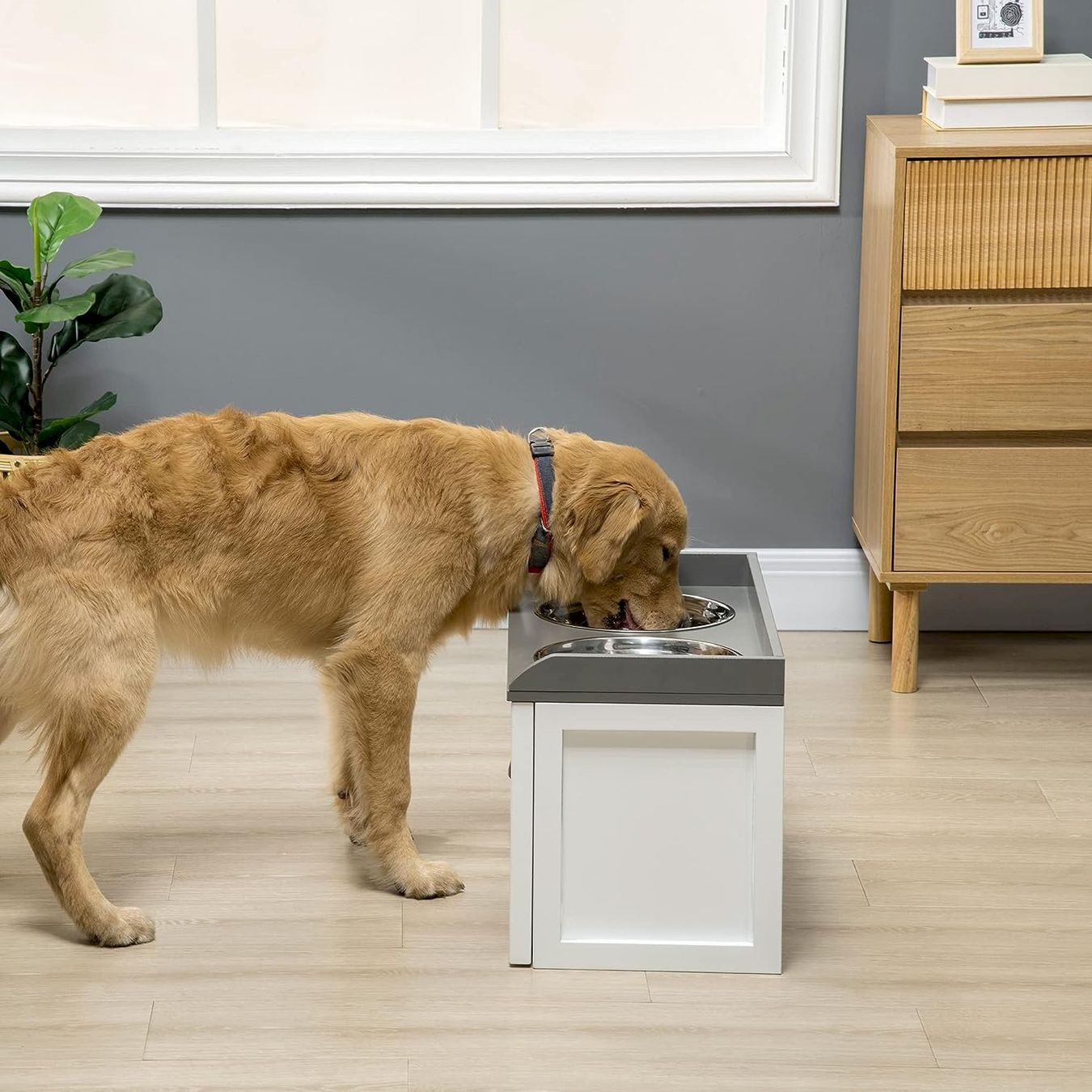 Futter: PawHut Futterstation – Neu und originalverpackt aus Bottighofen von zaap 1