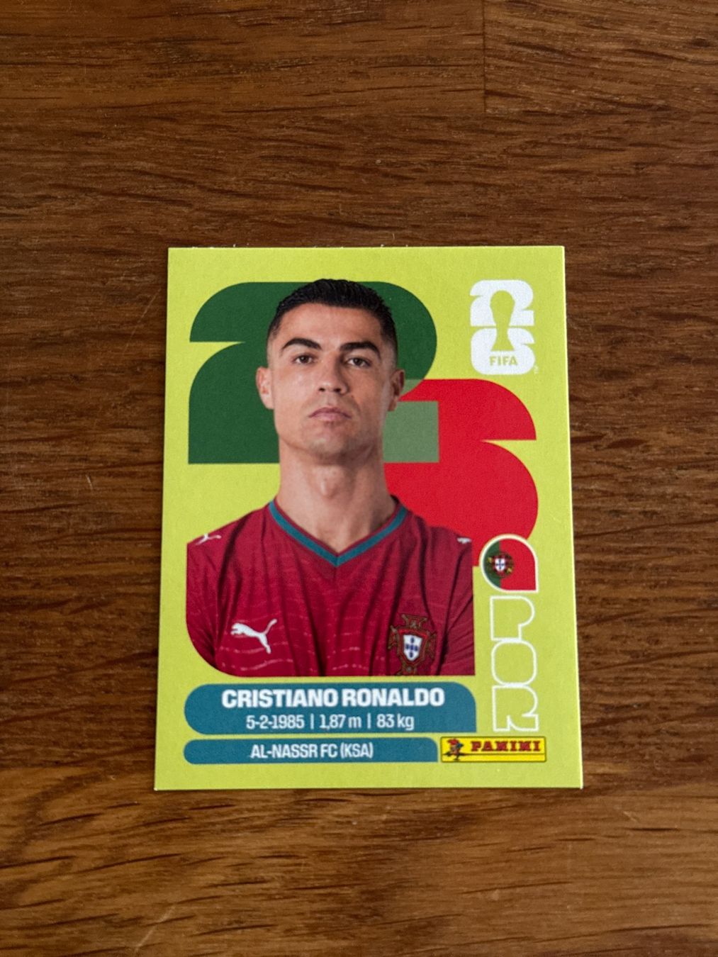 Panini Carte collezionabili: Ronaldo panini sticker – Usato da Stetten AG venduto da dej_vb5d