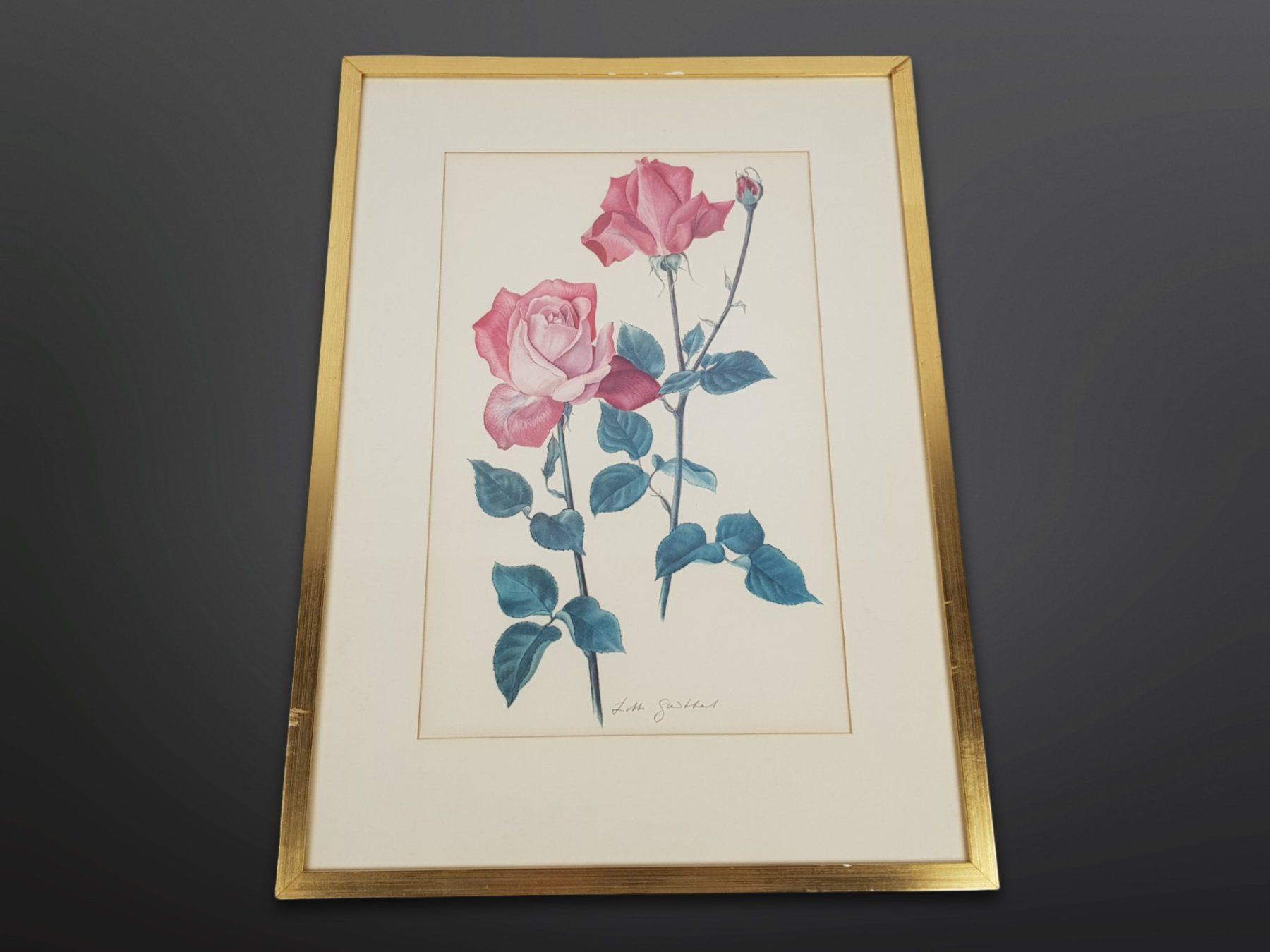 Foto & Immagini: Rosen Illustration - Lotte Günthart – Usato da Suhr venduto da Restwert_Suhr