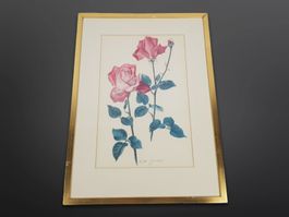 Rosen Illustration - Lotte Günthart
