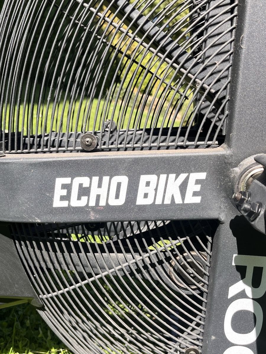Rogue Hometrainer: Rogue echo bike  – Usato da Collonge-Bellerive venduto da ola_69vq 9