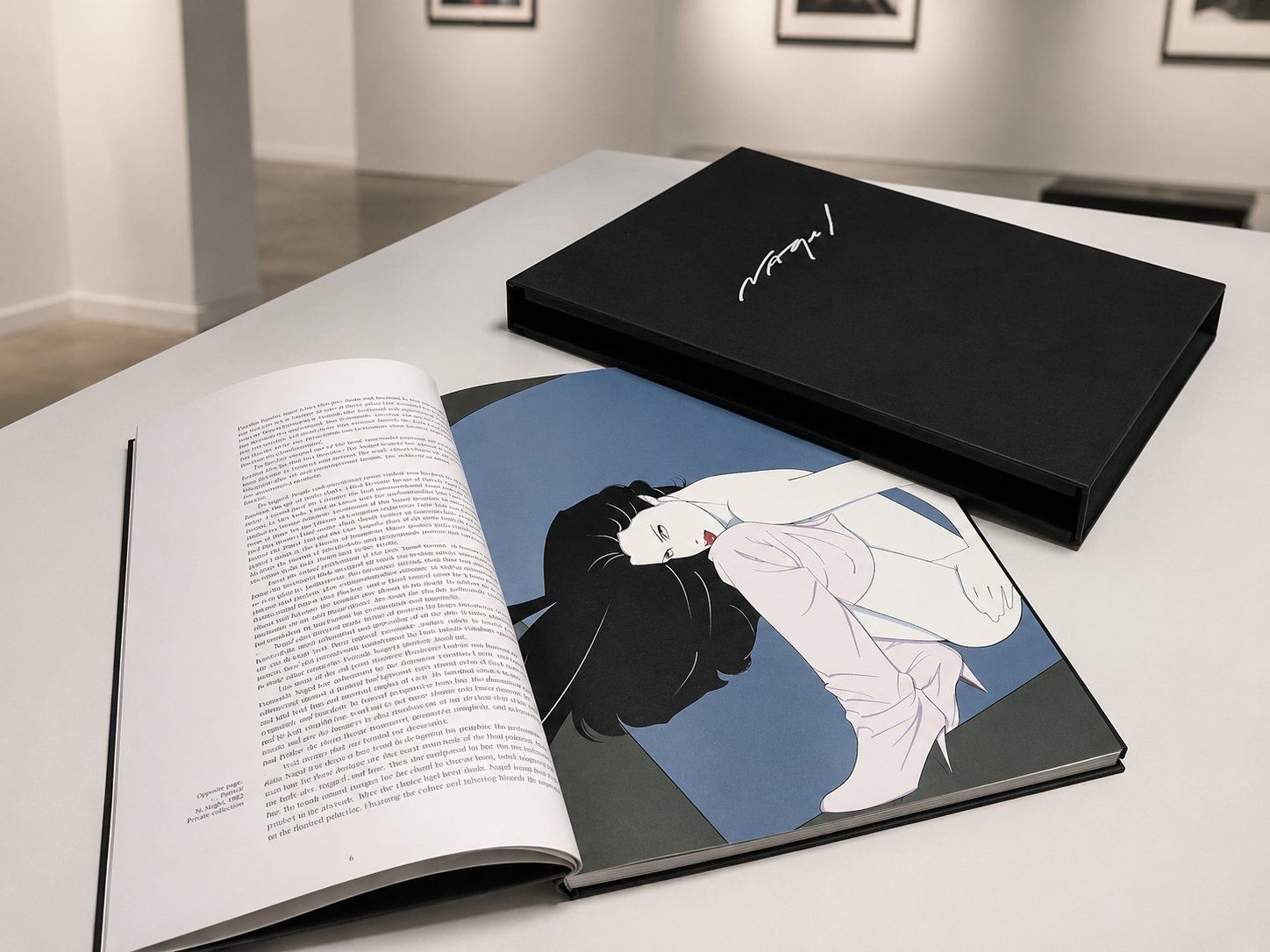 Libri: Catalogue raisonné Patrick Nagel Deluxe édition – Usato da Montreux venduto da LeVintage33