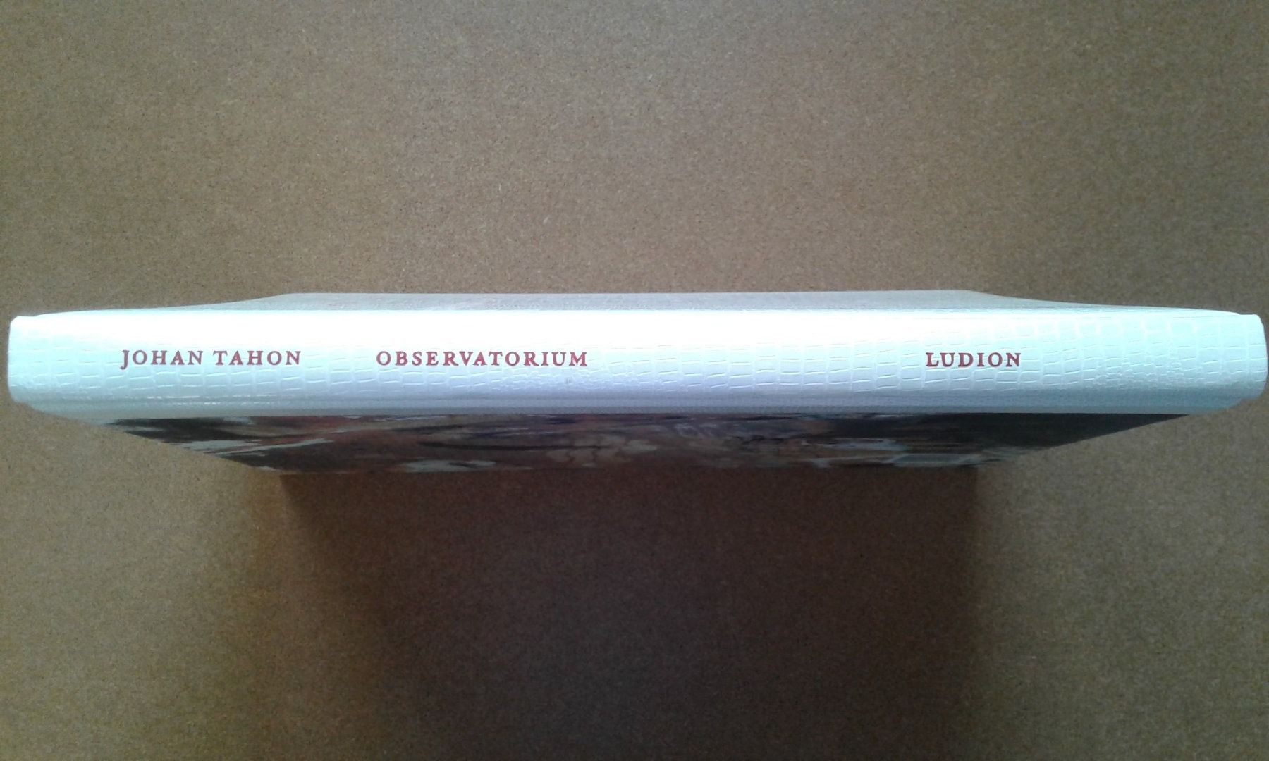 Libri: Johan Tahon - OBSERVATORIUM – Nuovo (secondo la descrizione) da Lausanne venduto da LasloH 2