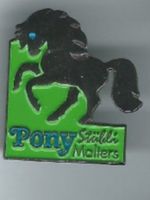Pony Stübli Malters, Pin