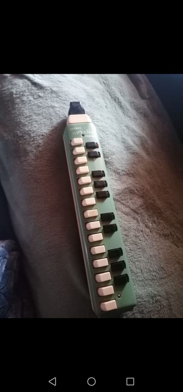 Hohner Strumenti musicali: Gut erhaltene Melodika mit Koffer, – Usato da Boniswil venduto da 1988liringreen 3