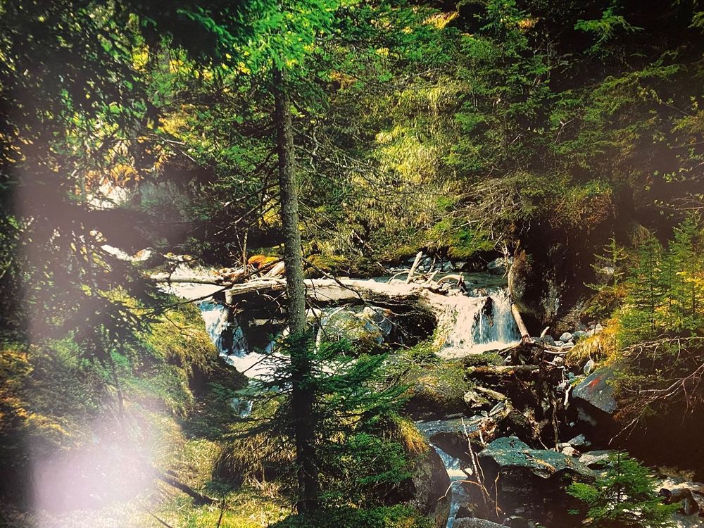 Aqua Vulpera Alan Humerose Landschaftfotos Engadin Tarasp | Kaufen Auf ...