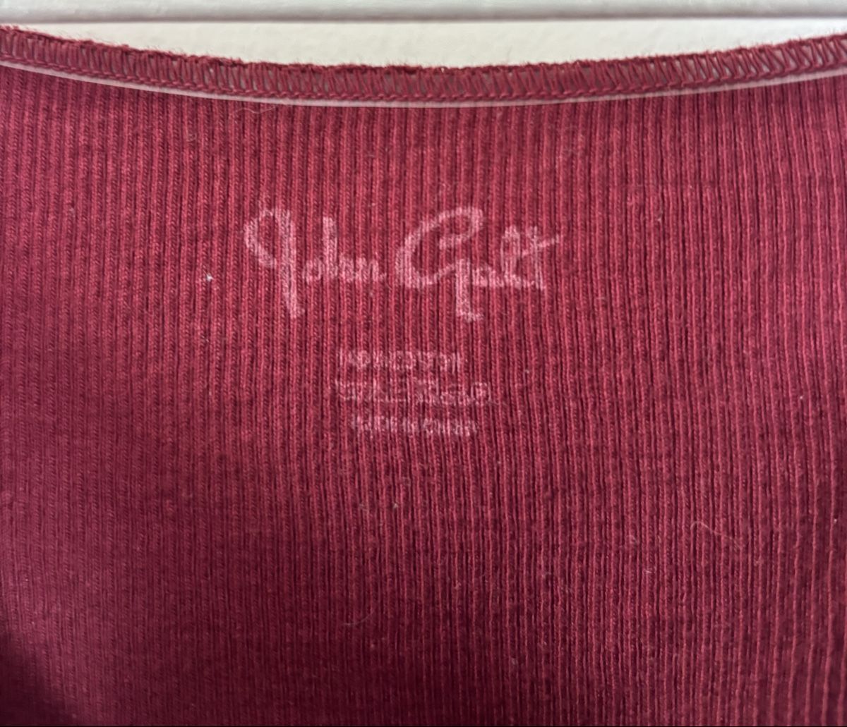 Brandy Melville Tops: Langarmshirt von Brandy Melville – Neu (gemäss Beschreibung) aus Müllheim Dorf von Lavwy 2