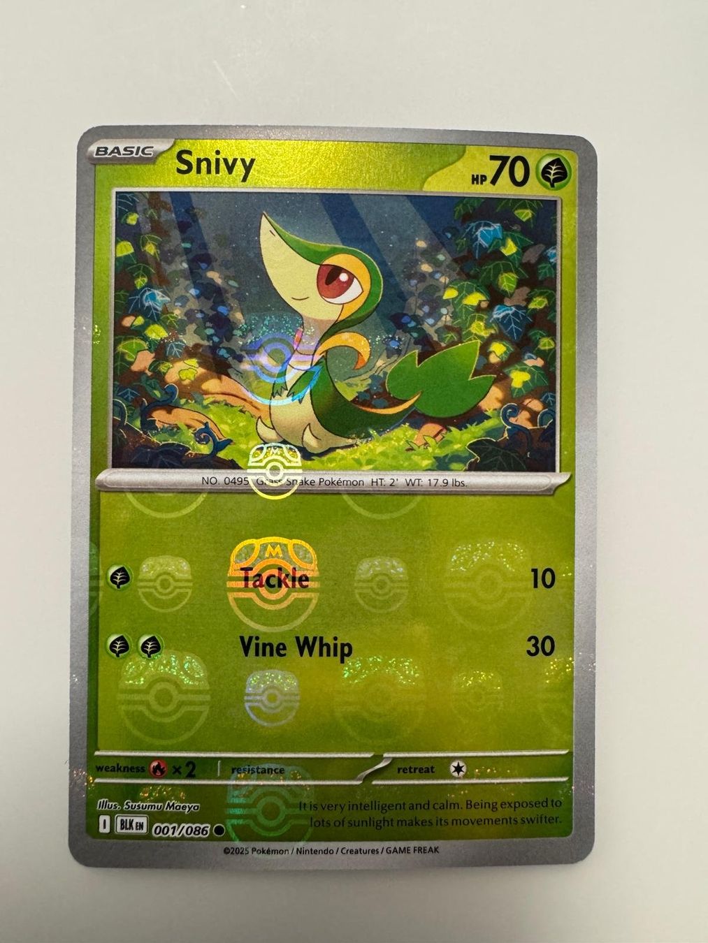 Pokémon Carte collezionabili: Snivy | Reverse Holo Masterball | BLK 001/086 | EN – Usato da Spreitenbach venduto da Snacky96 2