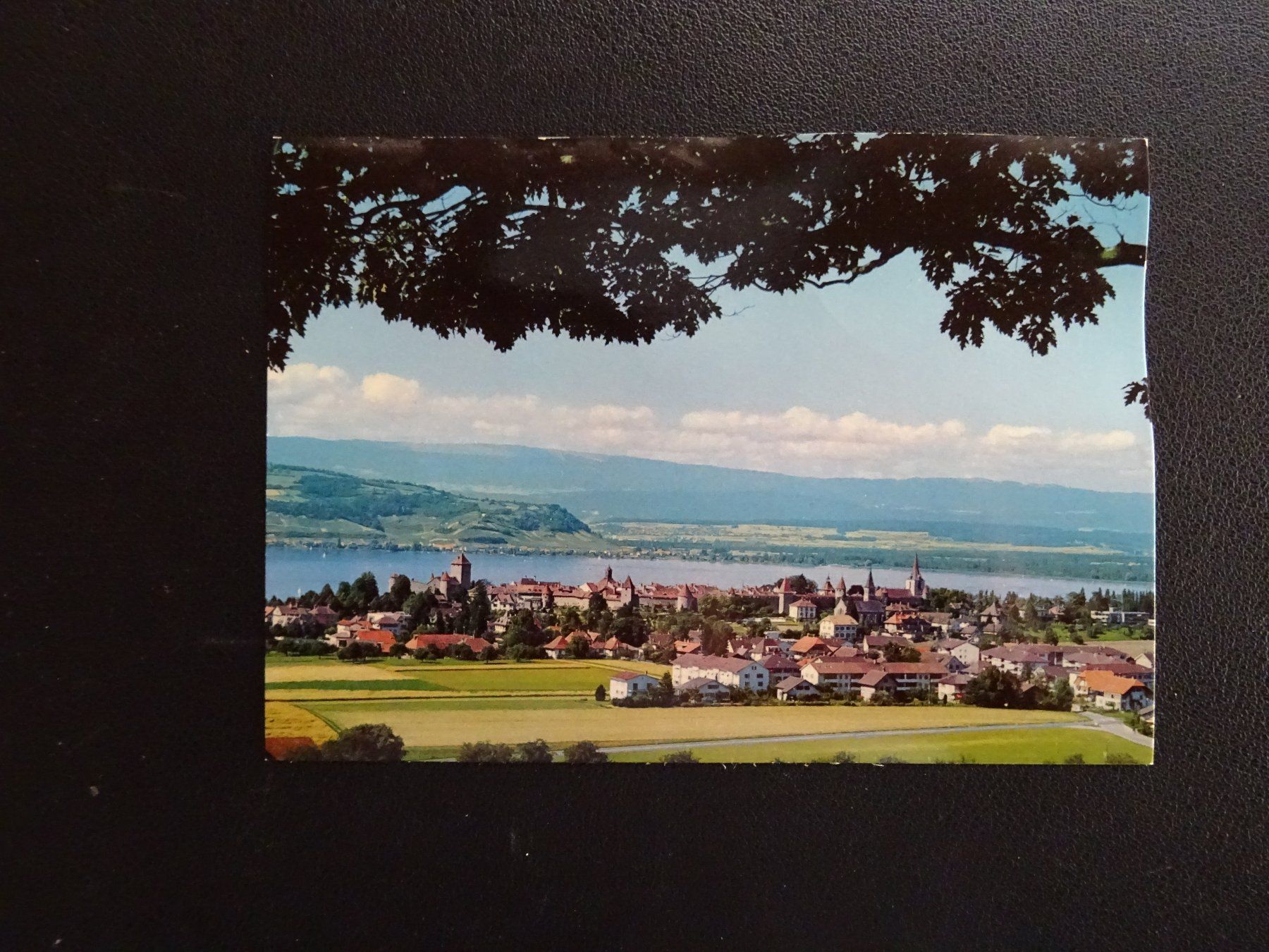 Cartoline postali: Postkarte Morat Vue gènèrale – Usato da Rothrist venduto da heinrich1966