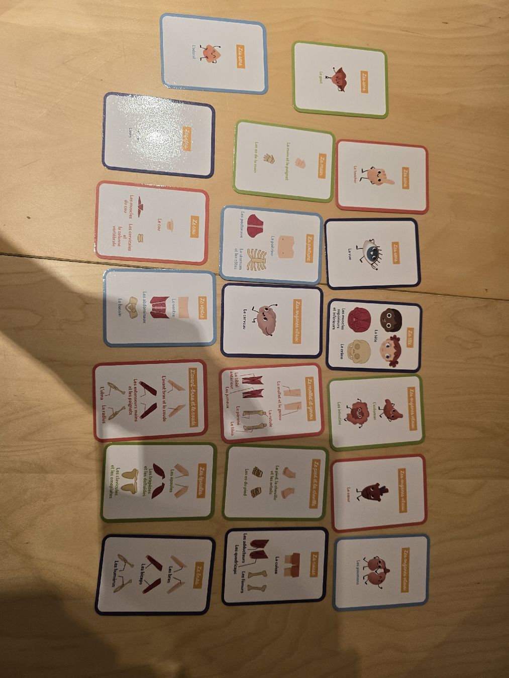 Spielzeuge: Aimant:  Le corps humain et des saisons – Gebraucht aus Bossonnens von zla_cg8d 4
