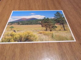 Ansichtskarte Sunset Crater Volcano, Nat