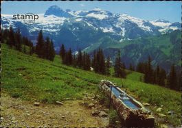 AK Lenk im Simmental _ Bühlberg_ Blick gegen Rawilpass