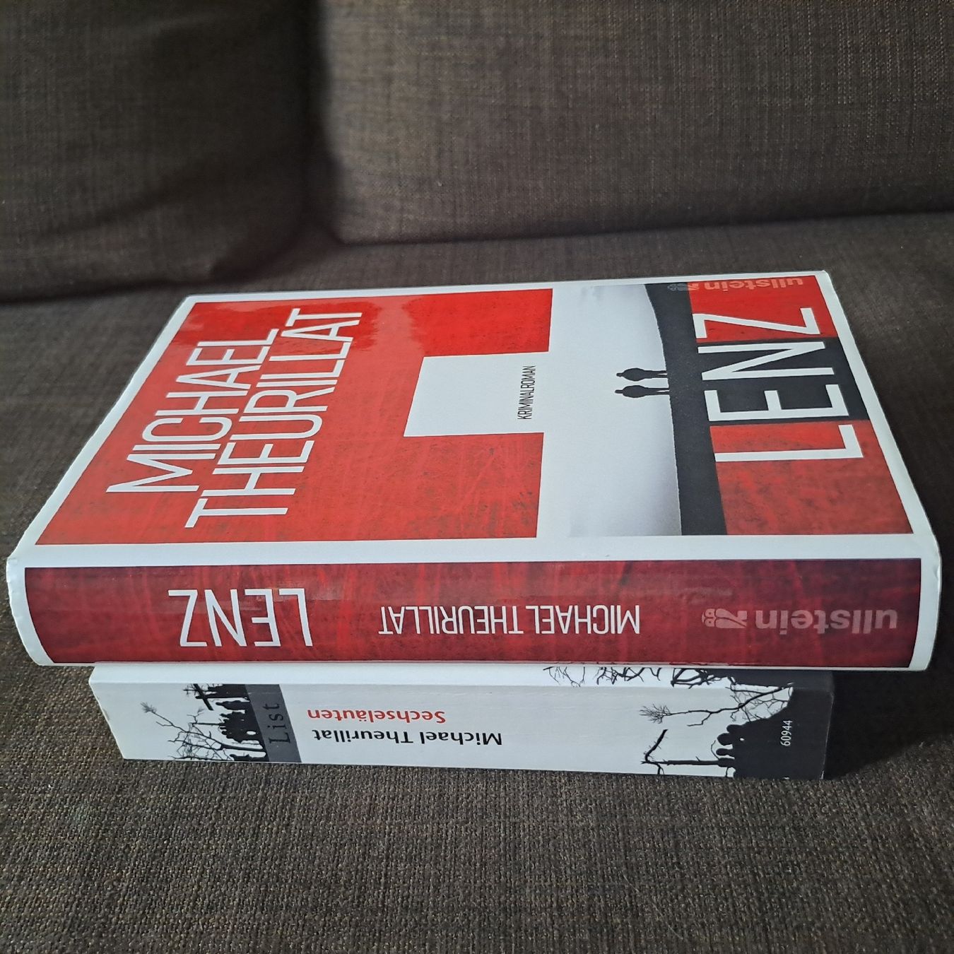 Libri: Michael Theurillat – Usato da Oberengstringen venduto da ger_v5h5 1