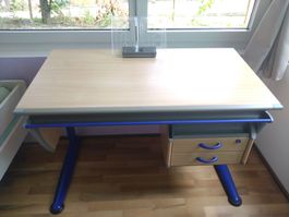 Schreibtisch Moll Booster