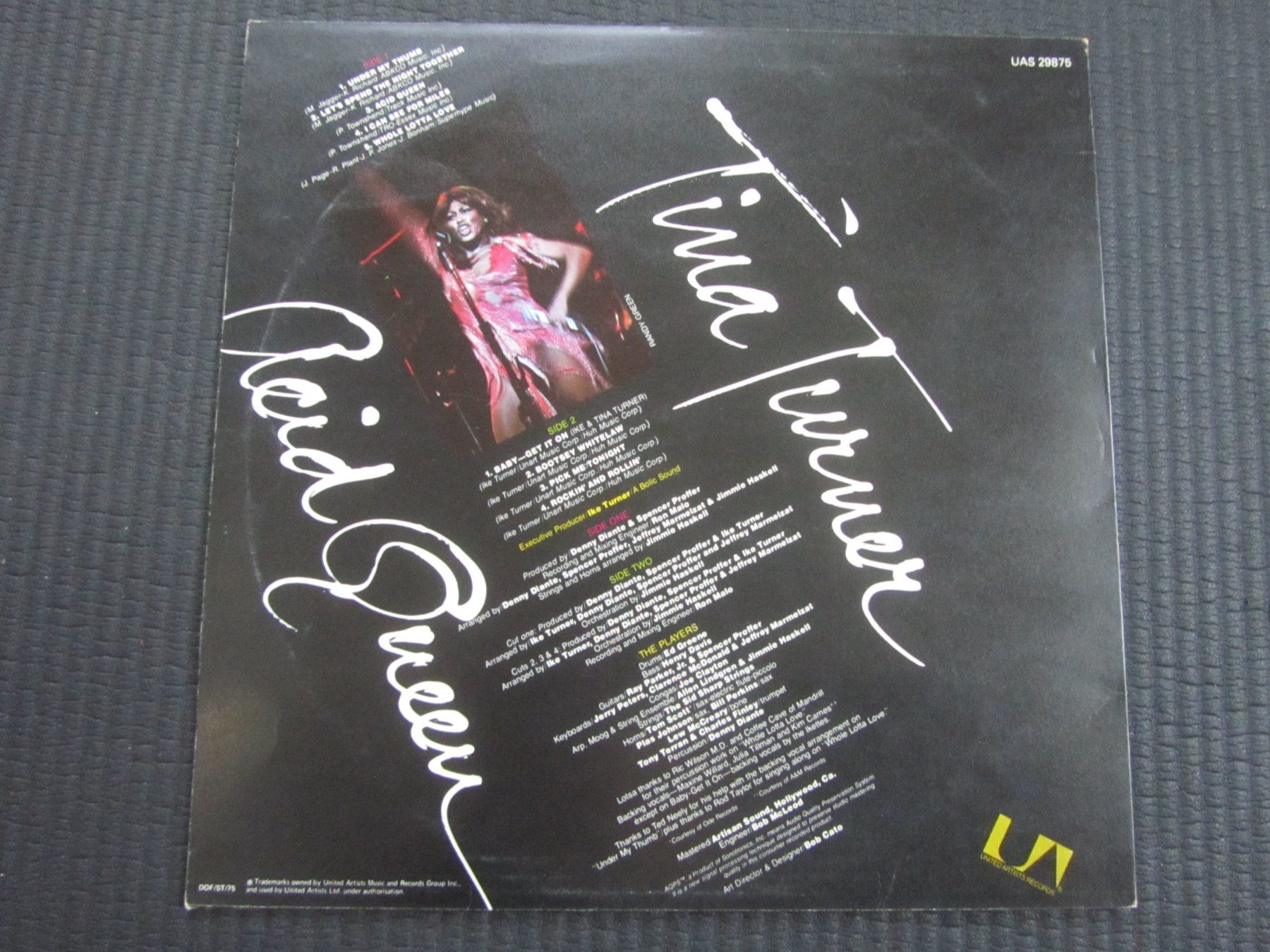 Dischi in vinile: TINA TURNER:  Acid Queen – Usato da Seengen venduto da mikelele 3