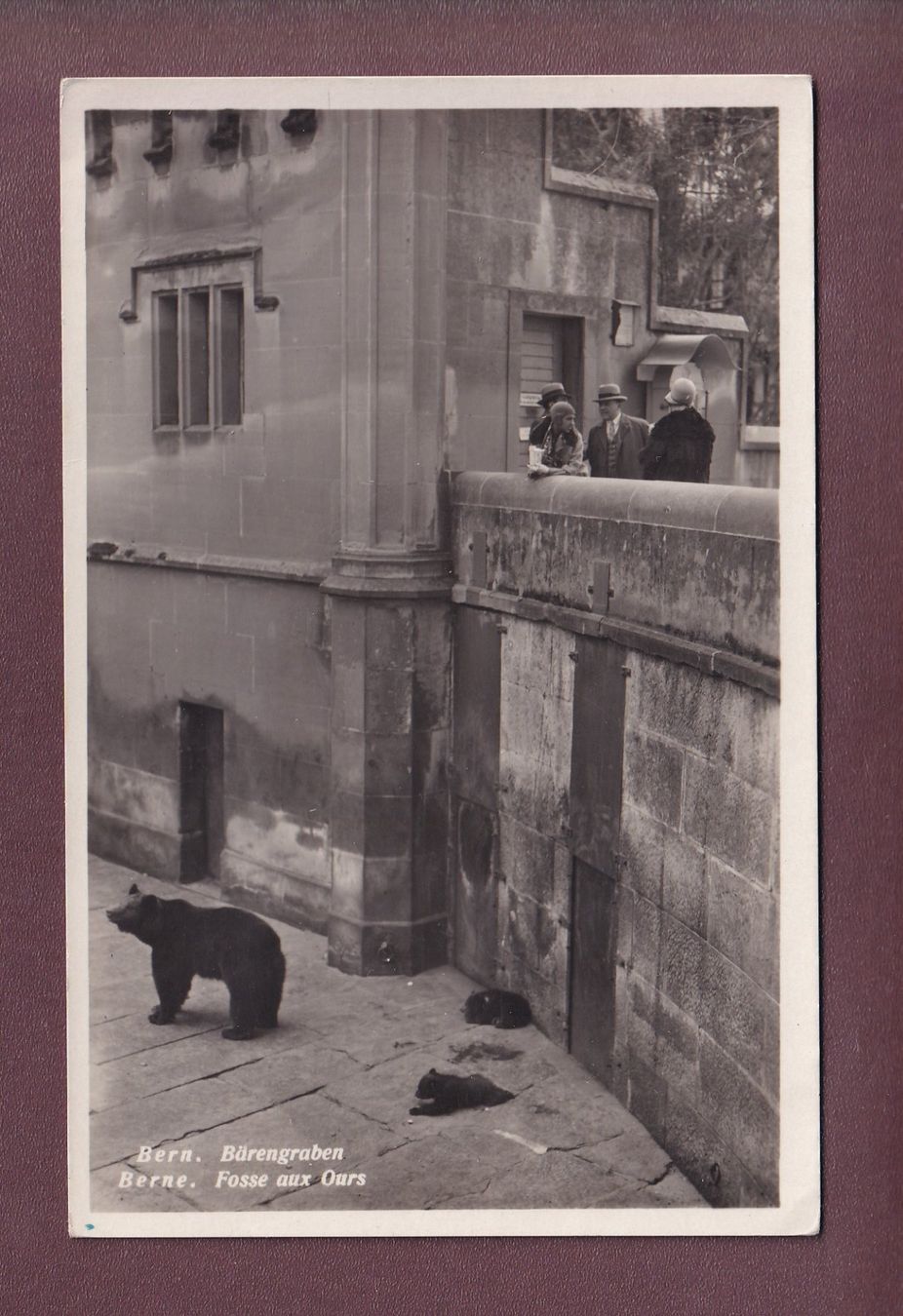 Cartoline postali: BERN - Bärengraben - 1934 – Usato da Pully venduto da nicecards