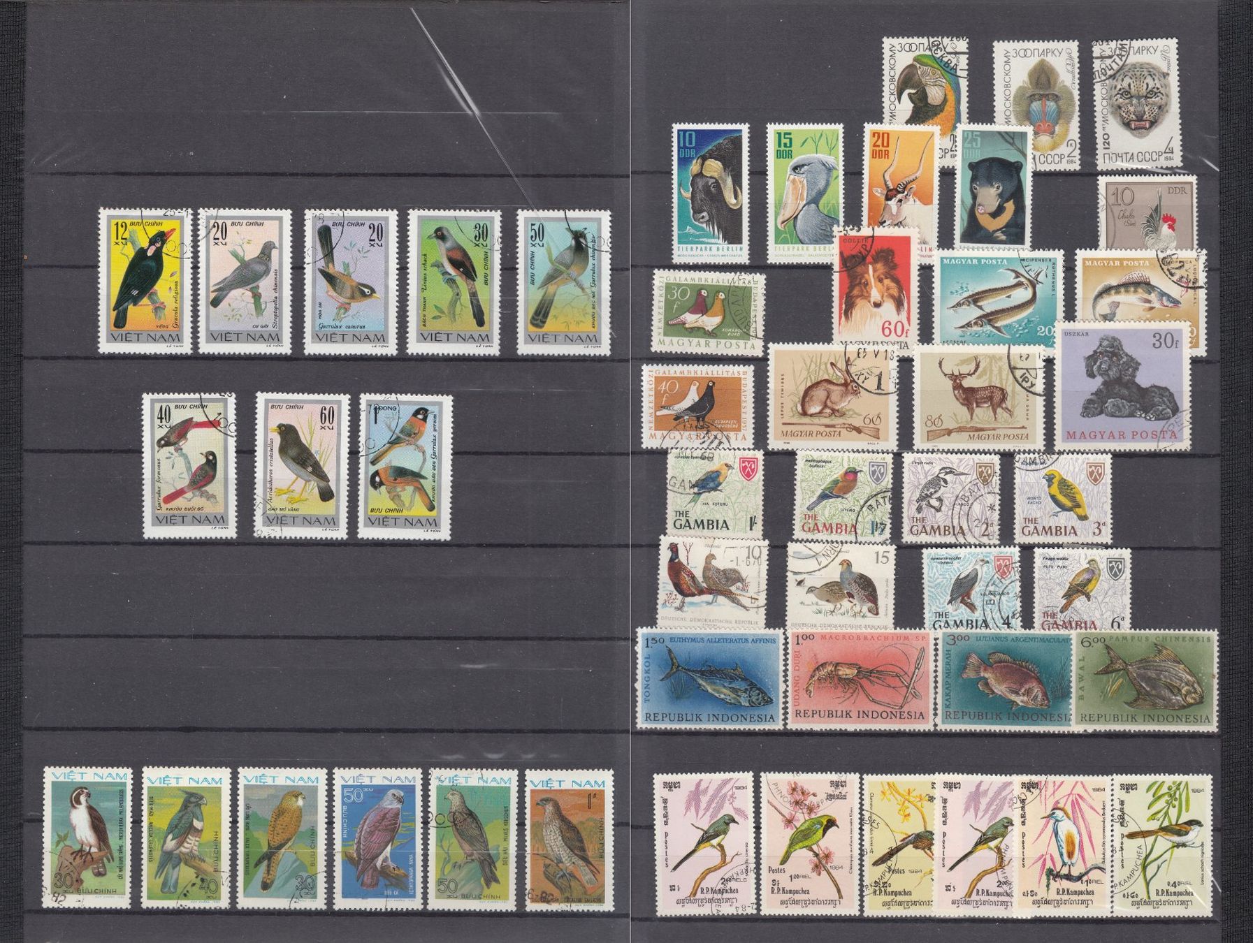 Alle Briefmarken: Motivsammlung Tiere – Gebraucht aus Bürglen TG von StampGraf 8