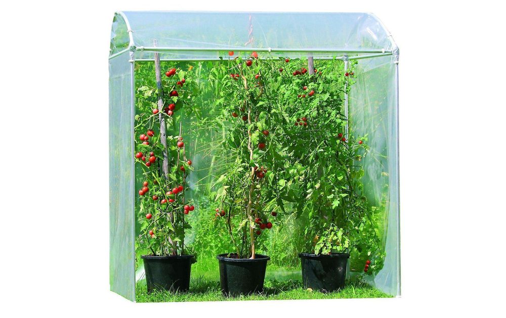 Tomatenhaus AluProfi inkl. Ersatzfolie Kaufen auf Ricardo