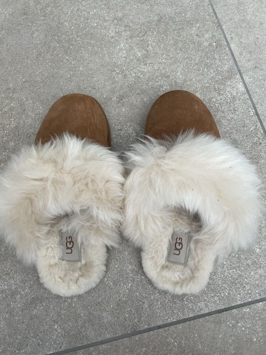 Ugg Scarpe da donna: UGG 40 nuove mai usate  – Nuovo (secondo la descrizione) da murten venduto da Ester09