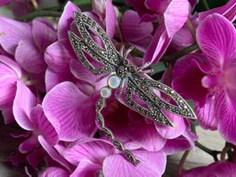 Brosche Libelle im Jugendstil Silber Perlmutter Markasiten