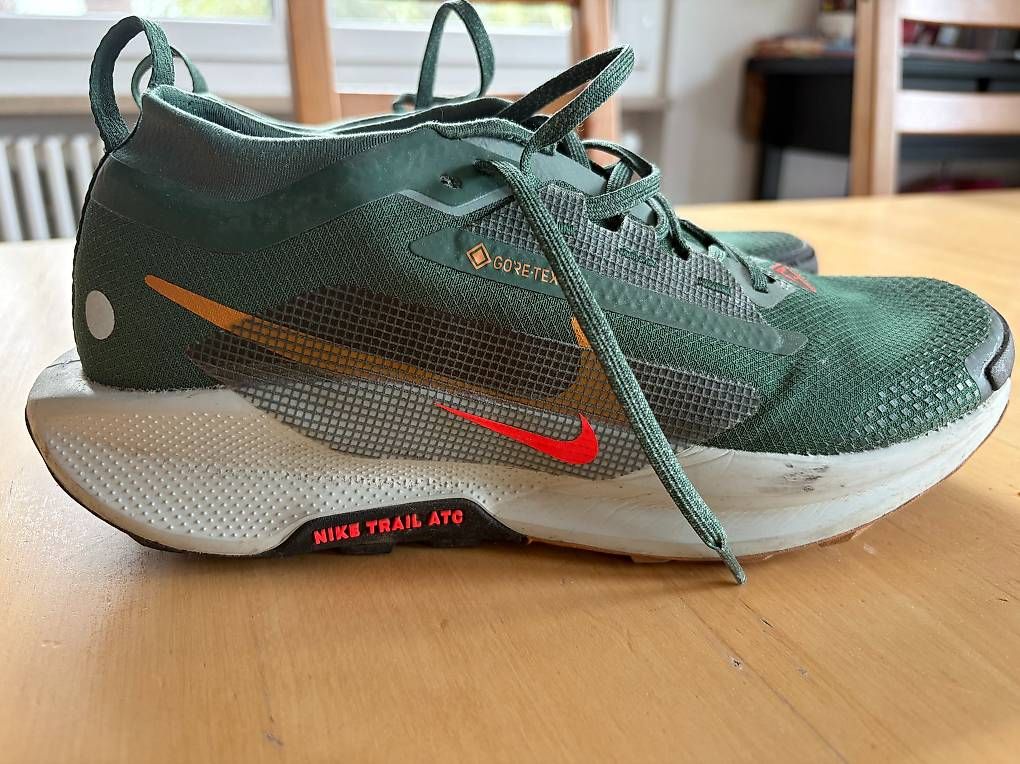 Scarpe da uomo: Nike Pegasus Trail 5 GTX 42.5 – Usato da Cugnasco venduto da malbeats 1