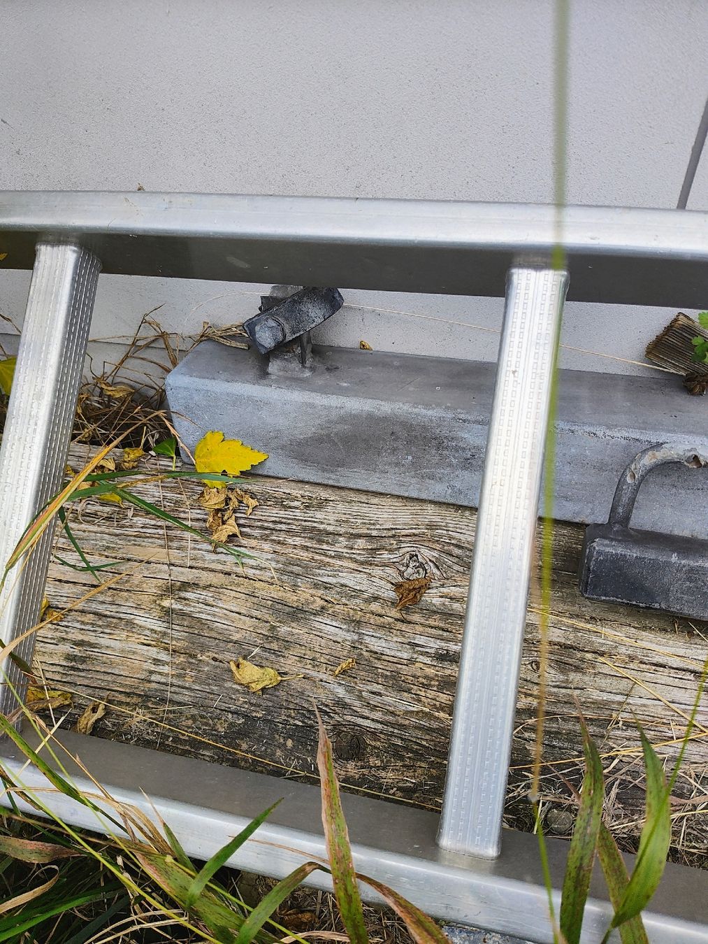 Türen: Massives Garten Tor  – Gebraucht aus Melchnau von Unikat01 6