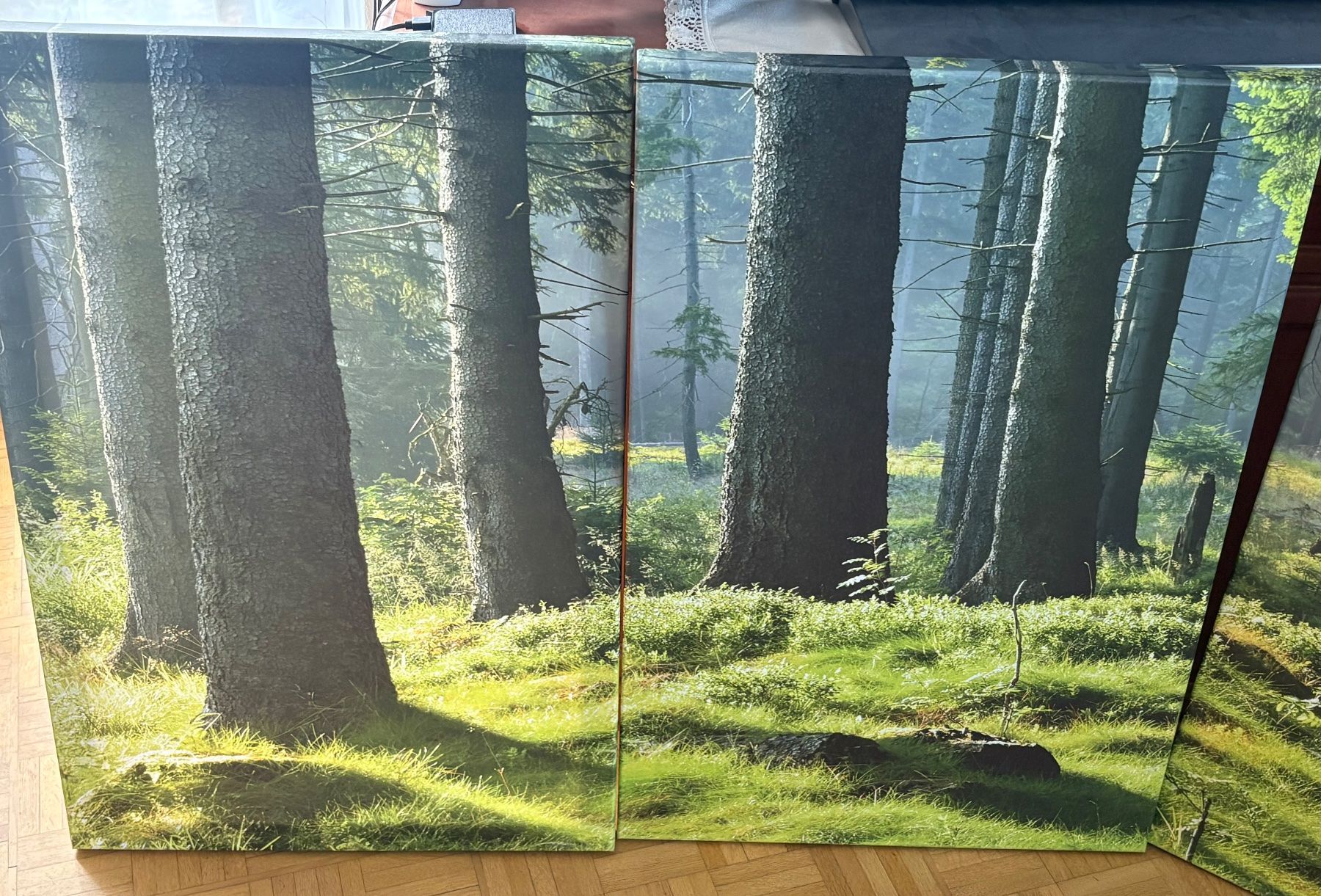 Poster & Bilder: Wandbild Set Wald vierteilig Leinwand – Gebraucht aus Frick von Rukki 3