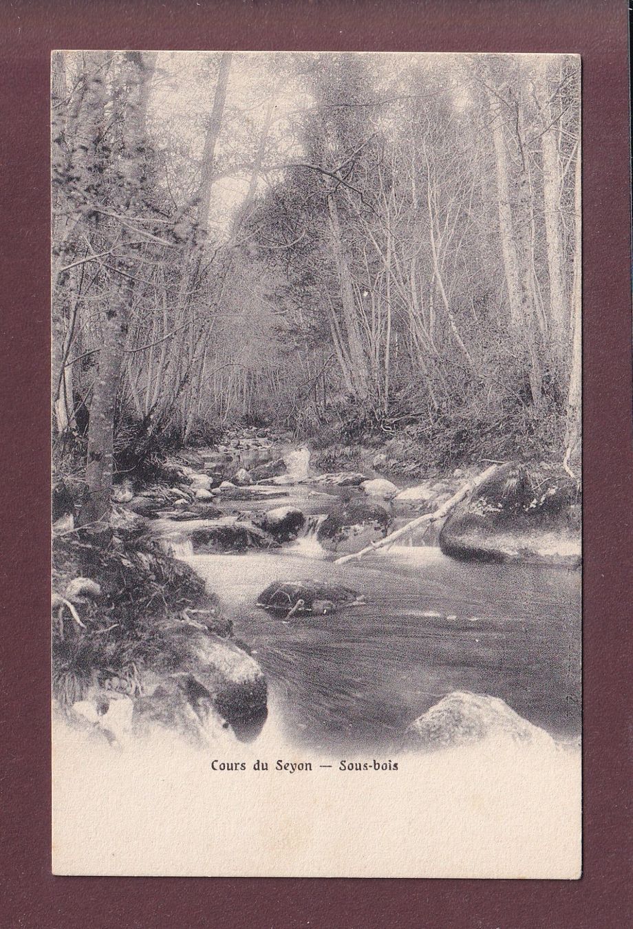 Ansichtskarten: Cours du SEYON - Sous-bois – Gebraucht aus Pully von nicecards