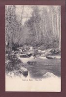 Cours du SEYON - Sous-bois