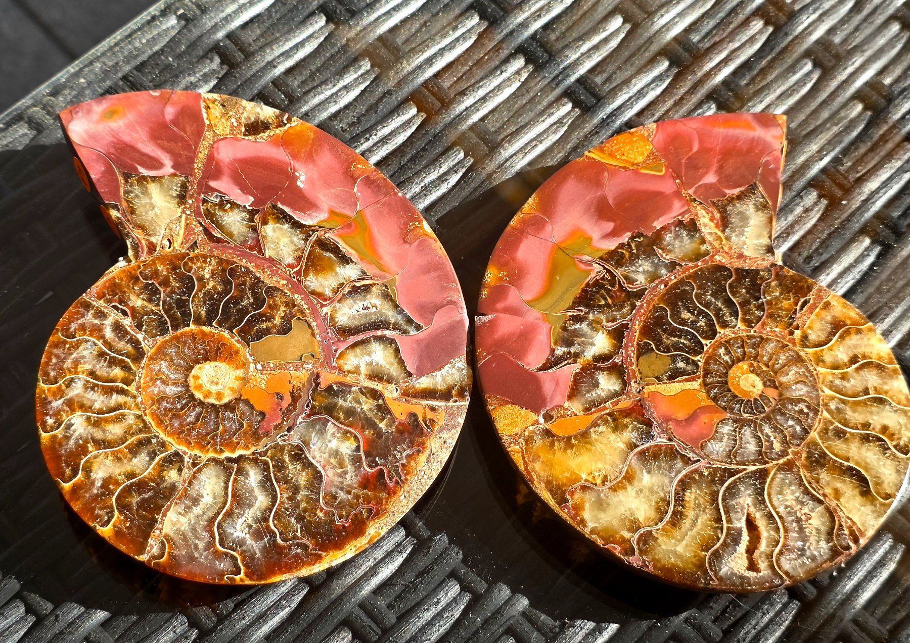 Fossili: Ammoniten Paar P1 302g – Nuovo e nell'imballaggio originale da Matzingen venduto da Shay_Crystalz
